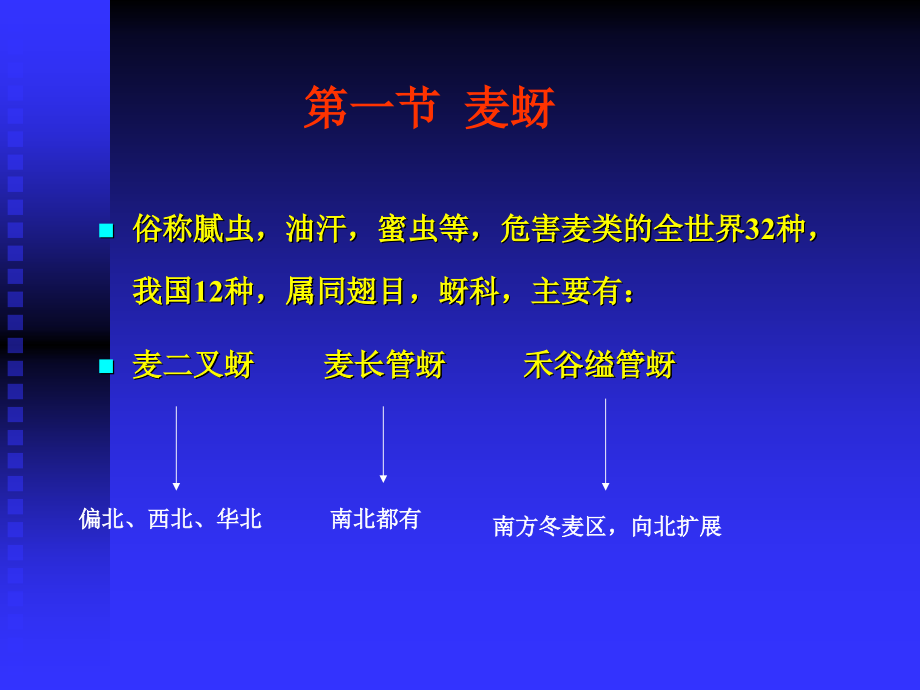 农昆麦稻.ppt_第1页