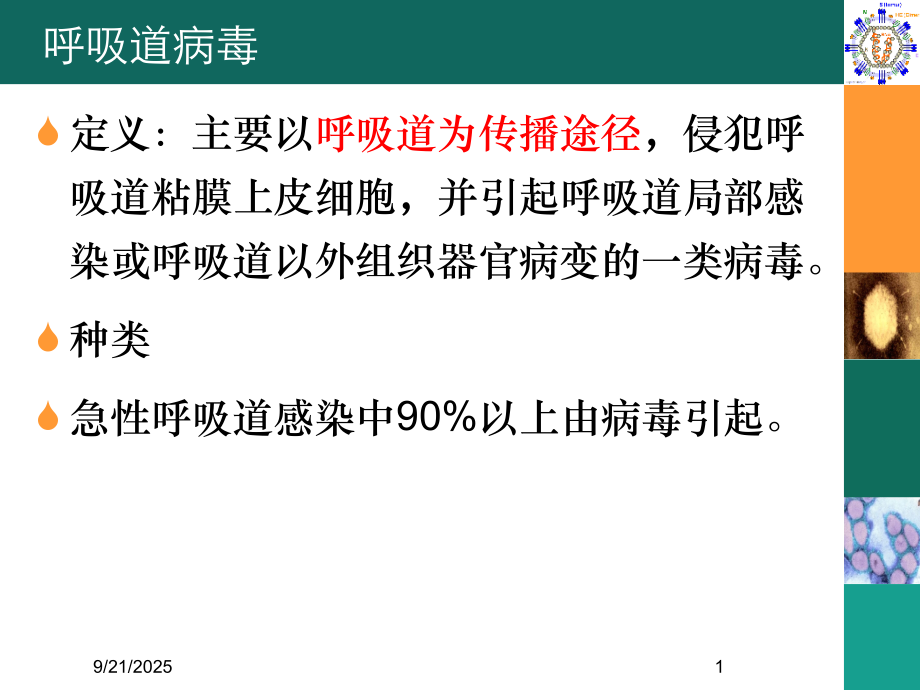 医学微生物-第26章课件.ppt_第1页