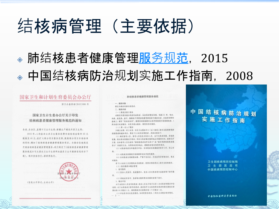 公共卫生服务项目结核病管理20151203课件.ppt_第1页