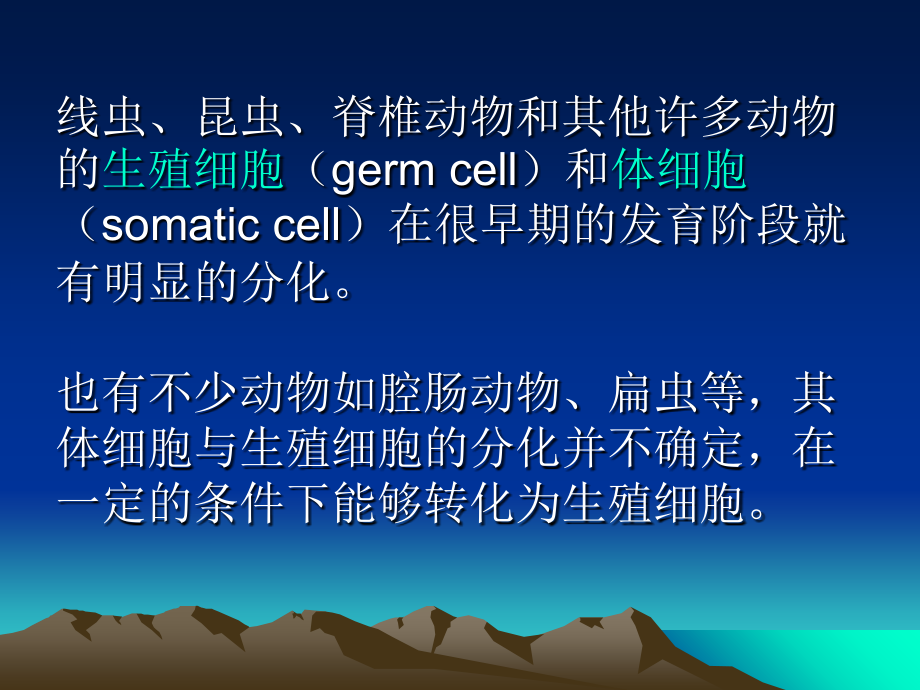 yj第一章、生殖细胞的发生.ppt_第1页