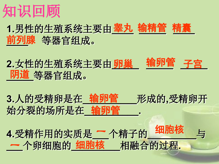 七年级科学下册《32新生命的诞生》课件2-浙教版.ppt_第2页