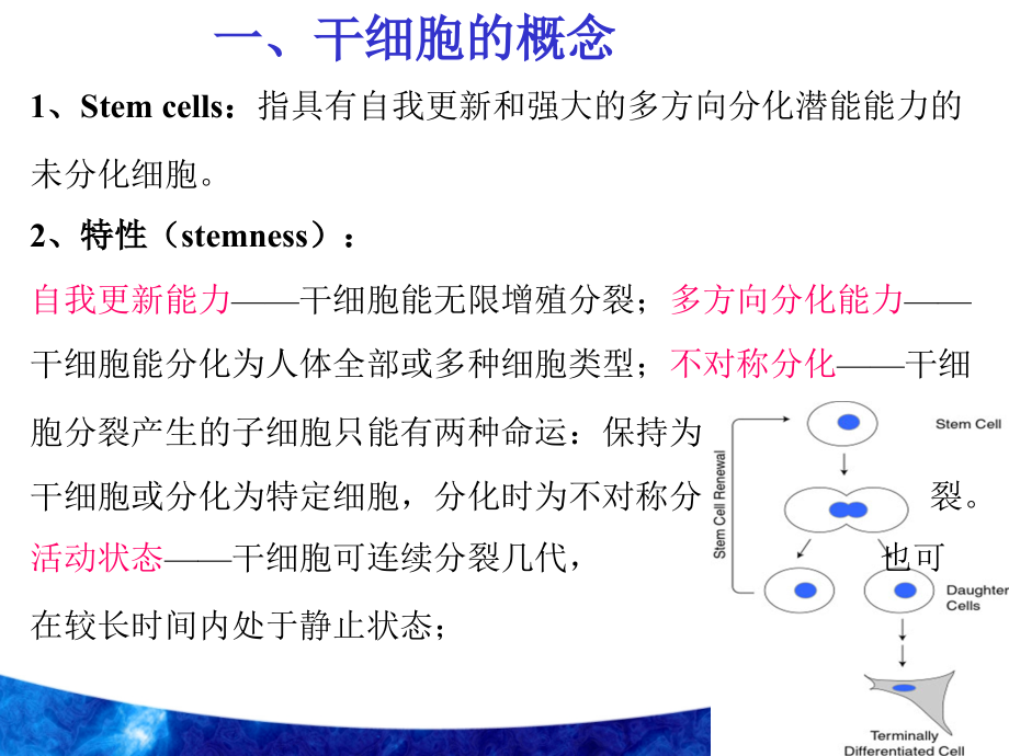 干细胞与生物医学.ppt_第2页