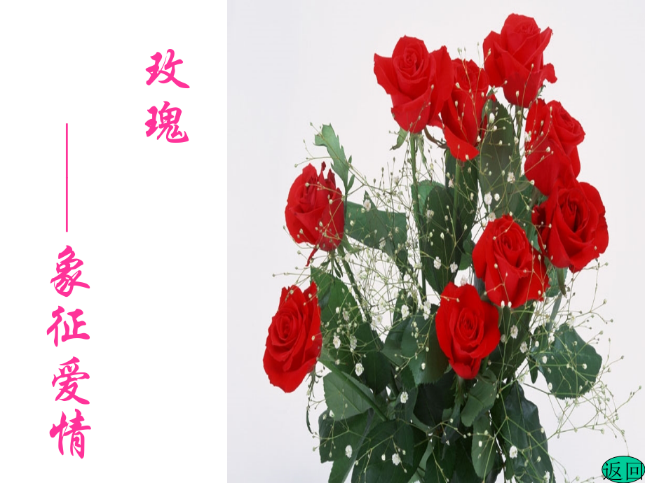 八年级语文上册-爱莲说--课件.ppt_第2页