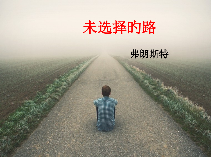 《未选择的路》优秀教案.pptx_第1页