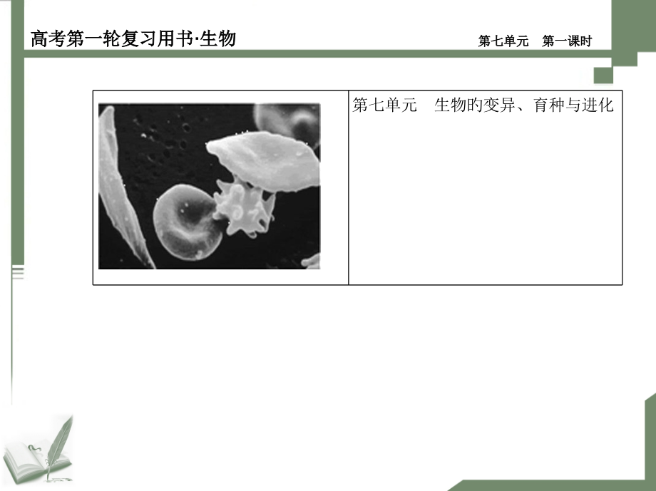 生物的变异育种和进化复习时公开课一等奖市赛课获奖课件.pptx_第1页