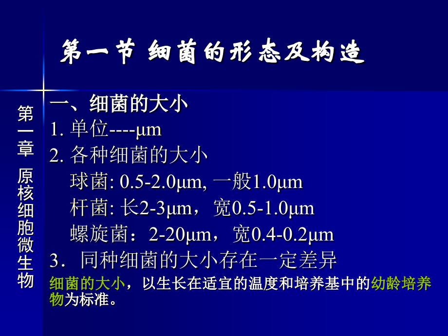 第一章原核微生物-01细菌形态与构造.ppt_第2页