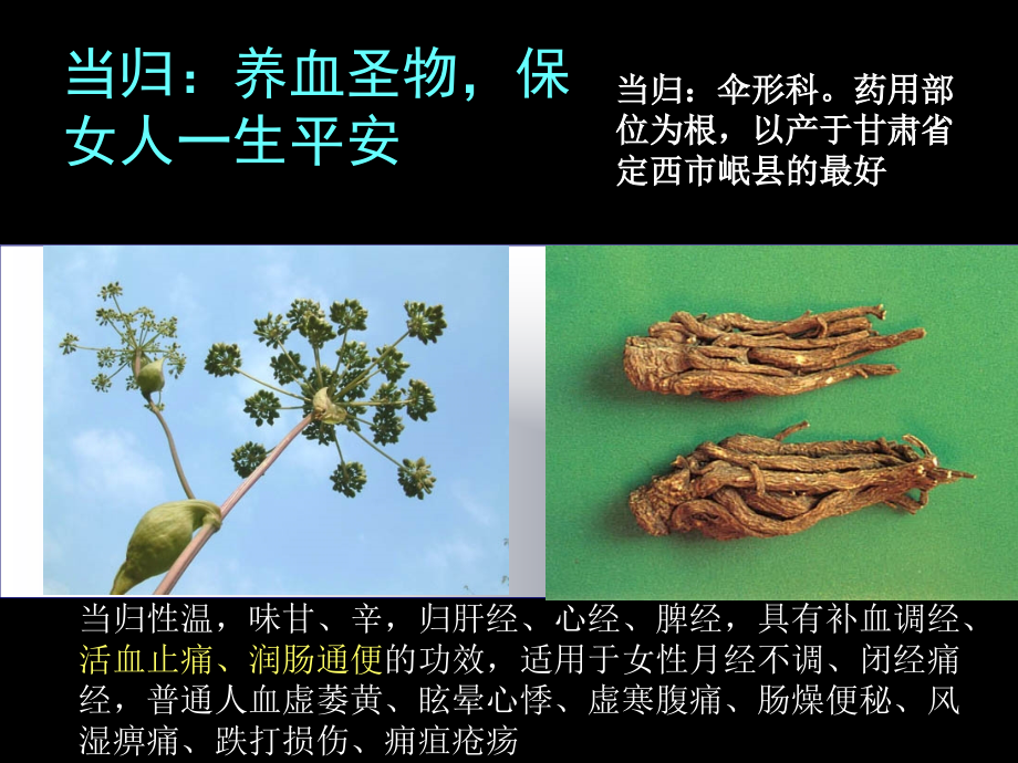 中药养生2课件.ppt_第2页