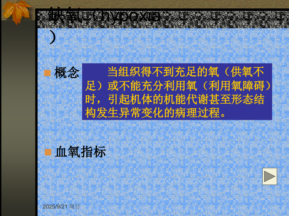第5章：缺氧课件.ppt_第2页