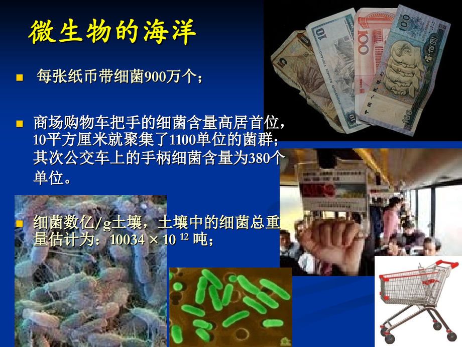 农业微生物学1-(8).ppt_第1页