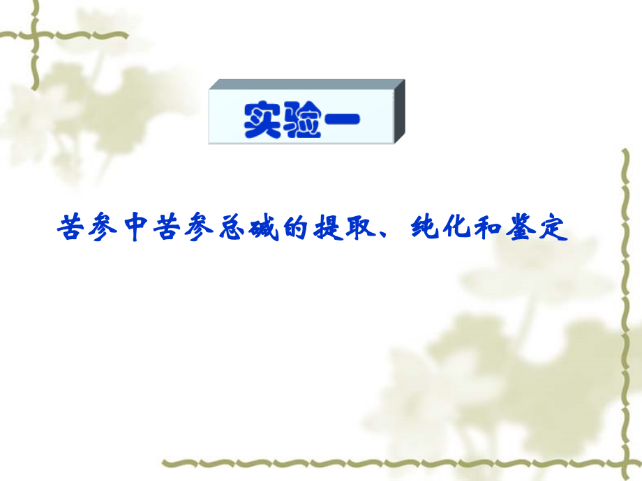 中药化学实验.ppt_第2页