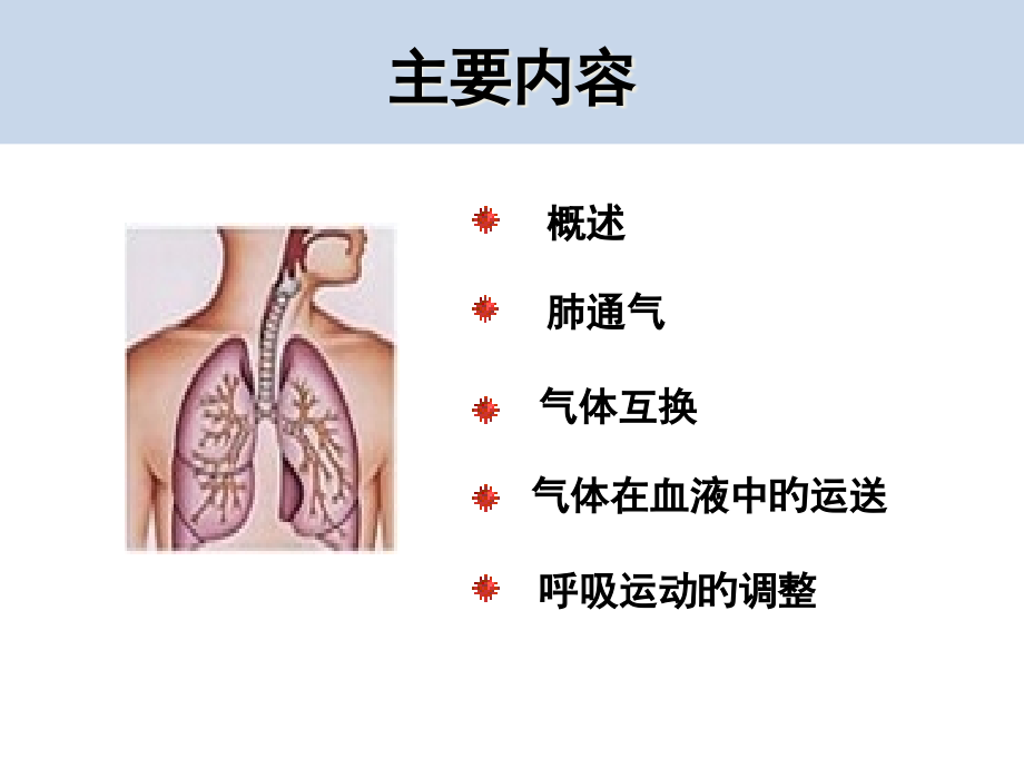 医学课件生理学呼吸系统.pptx_第1页