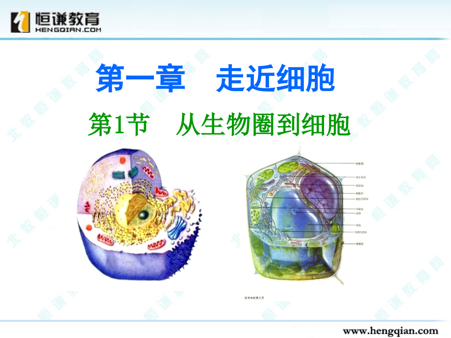生物必修一专业知识公开课一等奖市赛课获奖课件.pptx_第2页