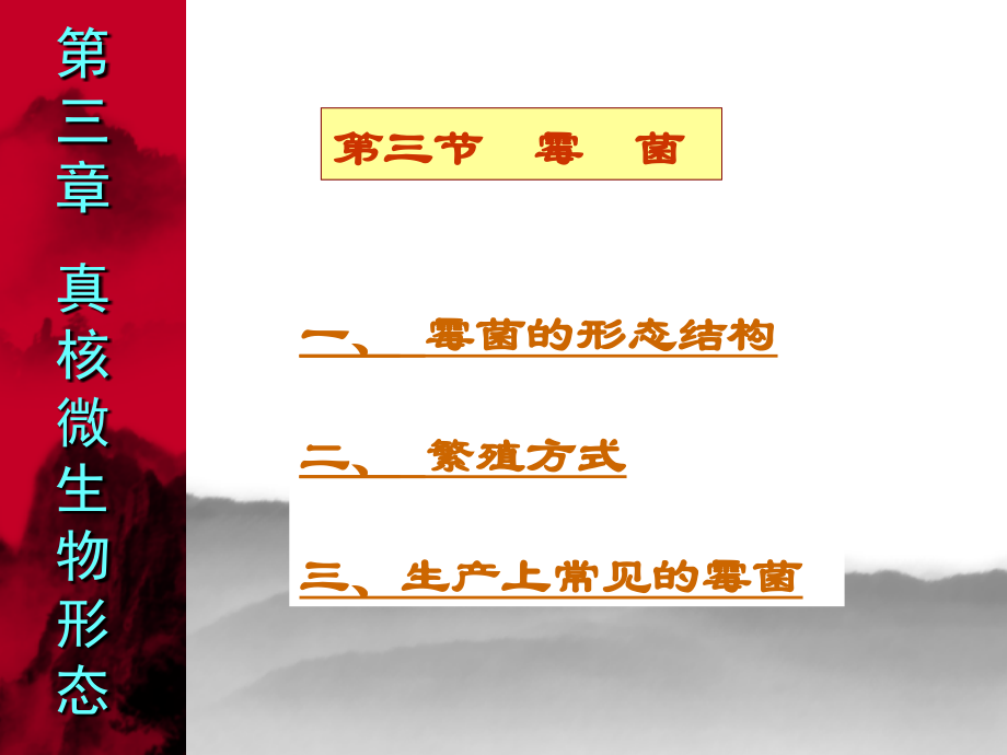 微生物学3-2-真核微生物-霉菌-蕈菌.ppt_第2页