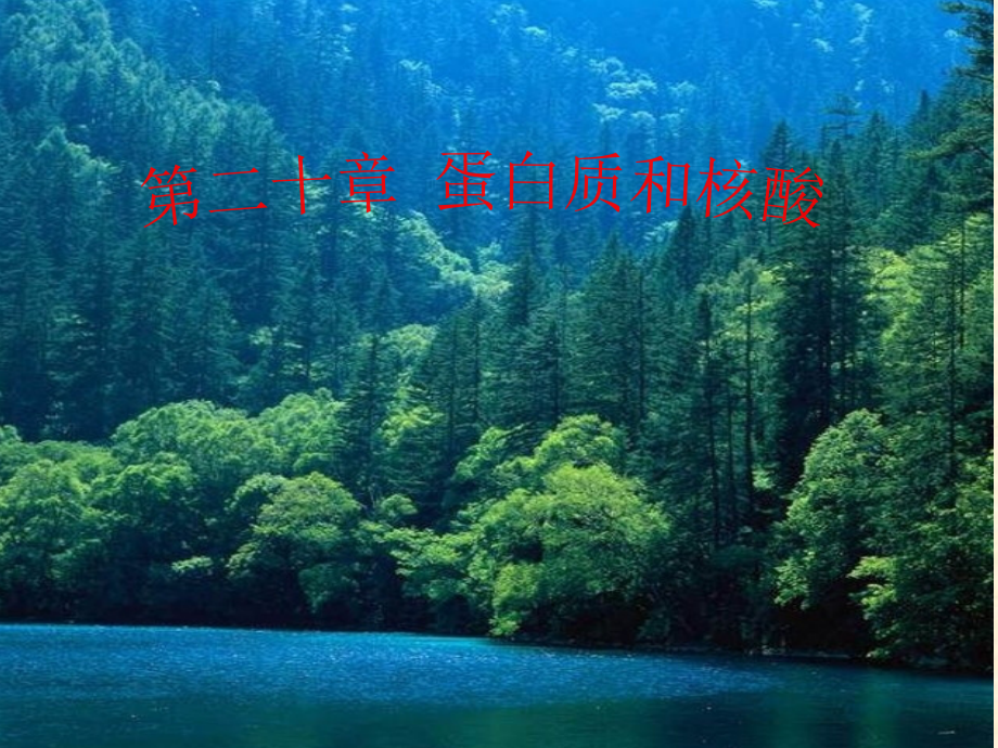 大学有机化学课件蛋白质与核酸.pptx_第1页