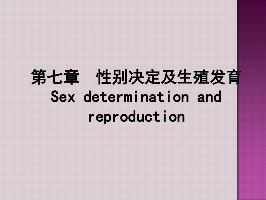 性别决定及生殖发育.ppt_第1页