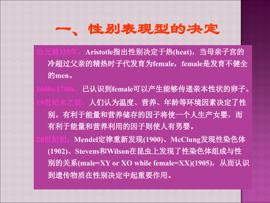 性别决定及生殖发育.ppt_第2页