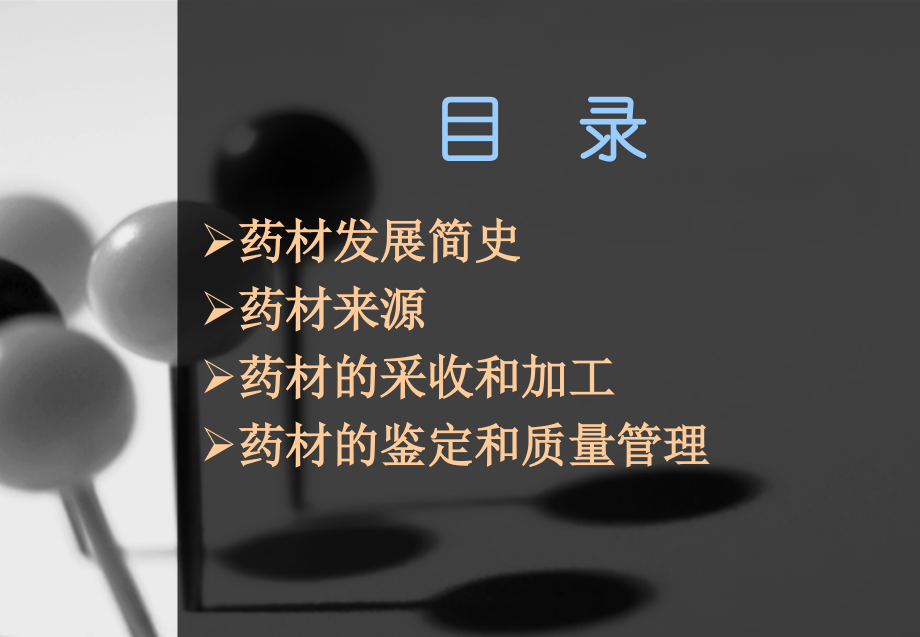 中药材基础.ppt_第1页