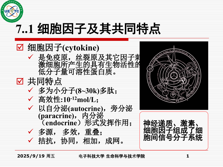 免疫学课件07细胞因子.ppt_第1页
