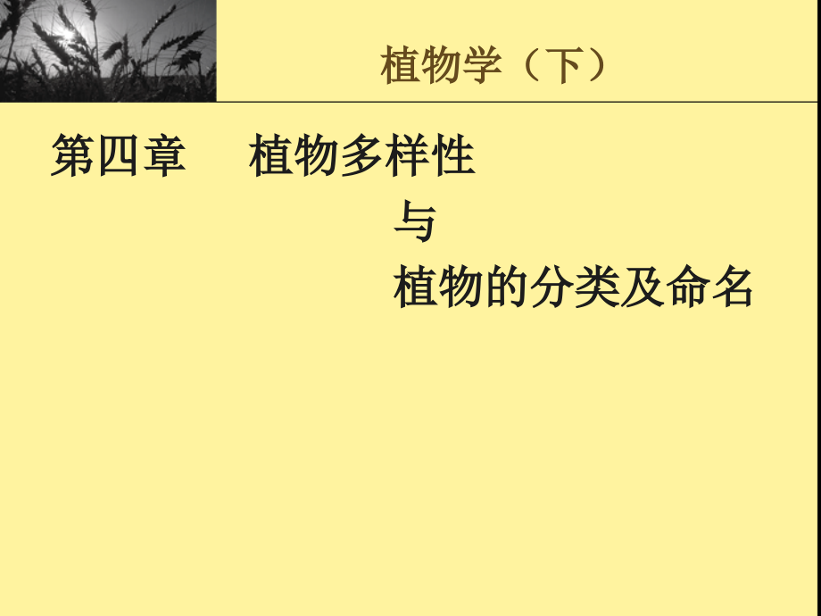 植物多样性与植物的分类及命名.ppt_第2页