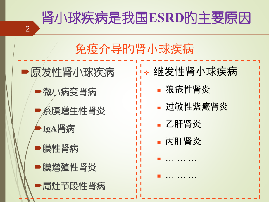 免疫抑制剂在肾脏病中的应用.pptx_第2页