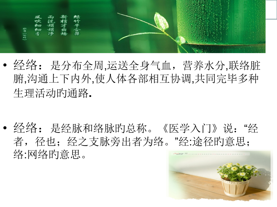 中医经络学专业知识课件.pptx_第2页
