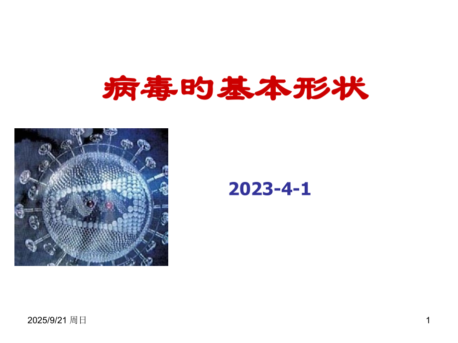 病毒基本形状.pptx_第1页