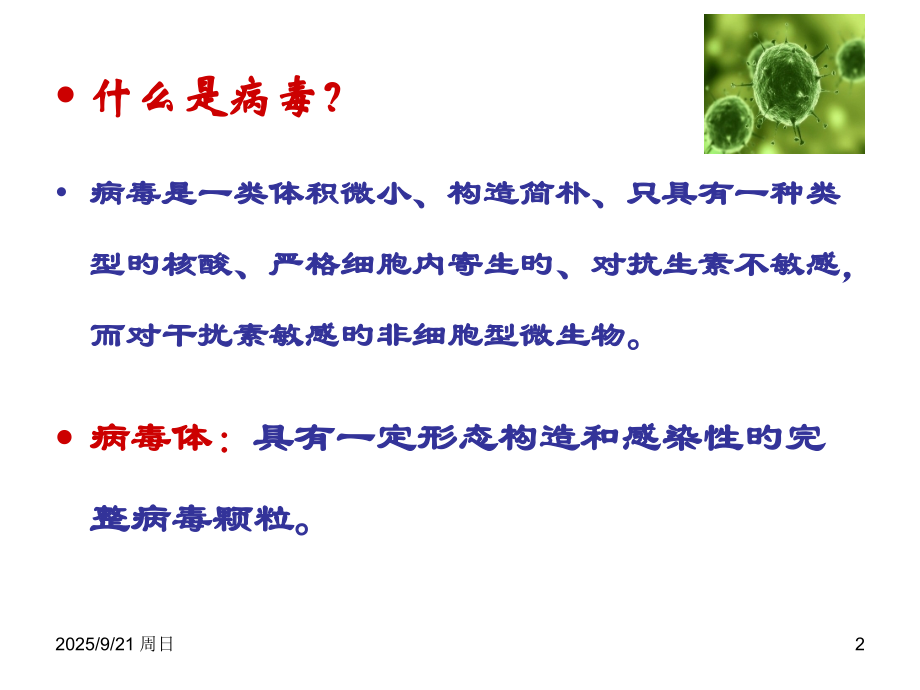 病毒基本形状.pptx_第2页