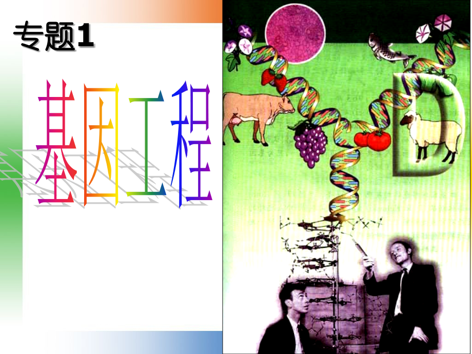 《DNA重组技术的基本工具》(选修3)课件.ppt_第2页