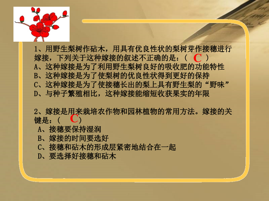 第28章-生物的遗传和变异复习课件.ppt_第2页