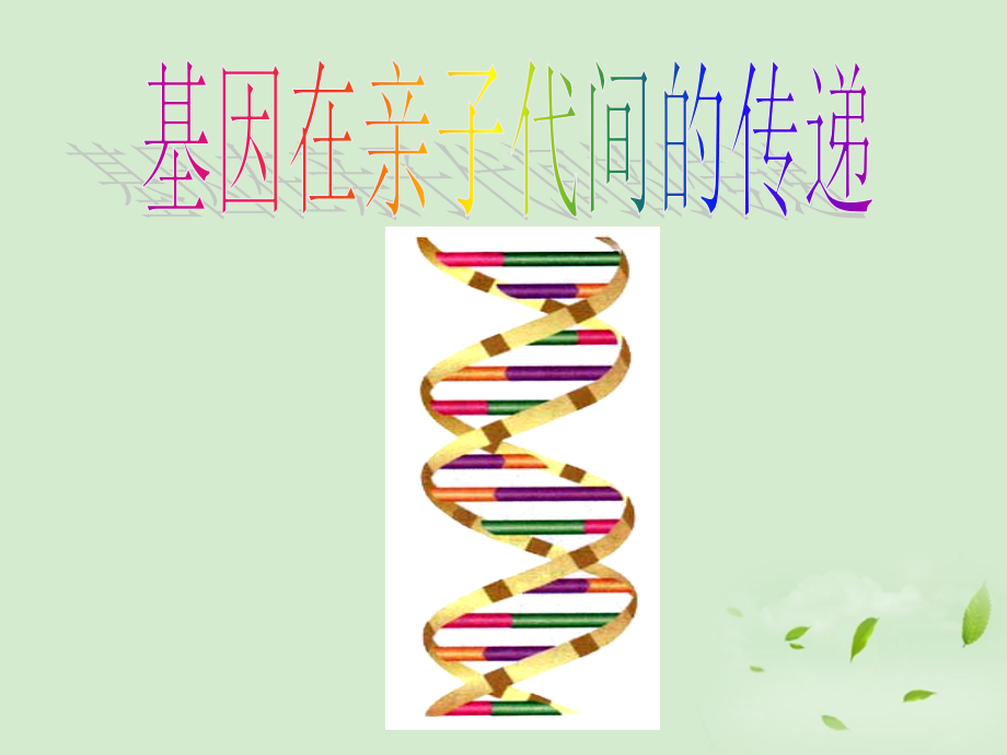 八年级生物-基因在亲子代间的传递课件-人教新课标版-.ppt_第1页