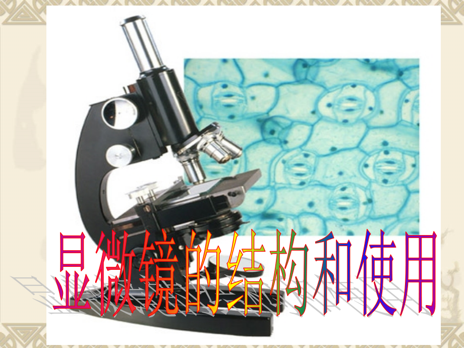 生物：前四章复习课件(新人教版必修1)09.ppt_第1页