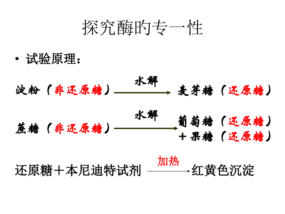 浙江省温州市平阳三中学年高二生物酶第二课时公开课一等奖市赛课获奖课件.pptx_第1页