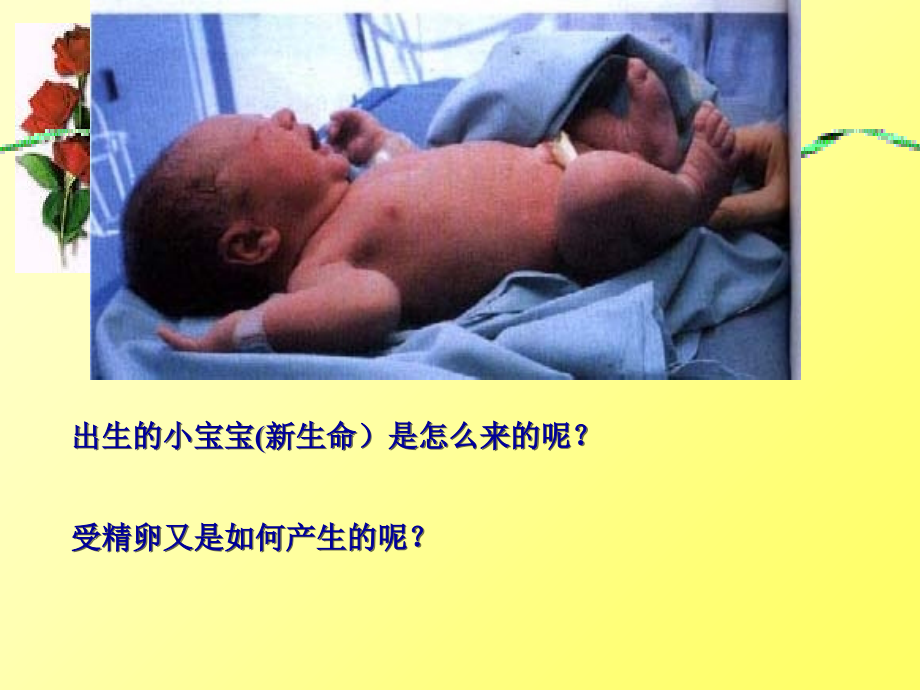 七年级科学下册(浙教版)教学课件：第一章-第1节-新生命的诞生-(5).ppt_第2页