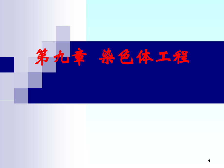 九、染色体工程课件.ppt_第1页