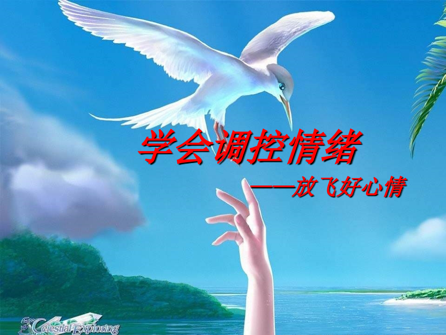 《学会调控情绪—放飞好心情》主题班会课件.ppt_第1页