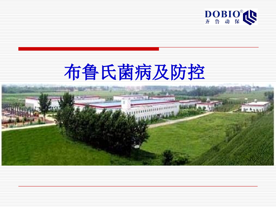 布鲁氏杆菌病及防治课件.ppt_第1页