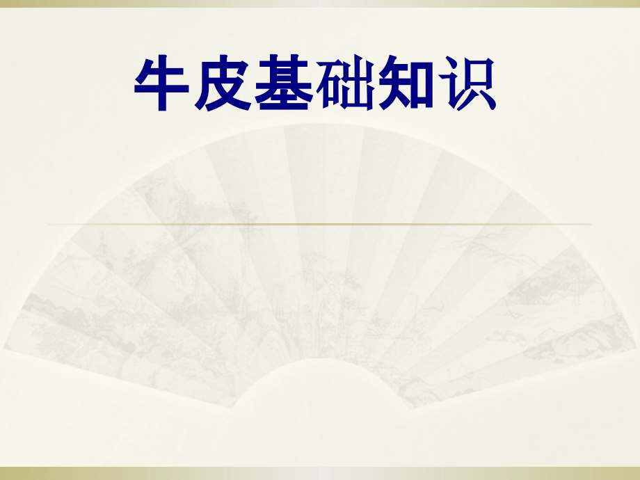 牛皮基础知识优质课件.pptx_第1页