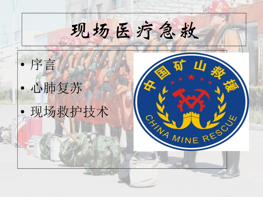 自救互救现场急救知识.pptx_第2页