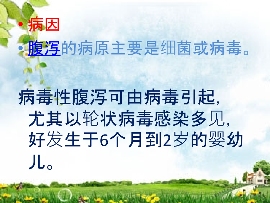 小儿腹泻的防治.ppt_第2页