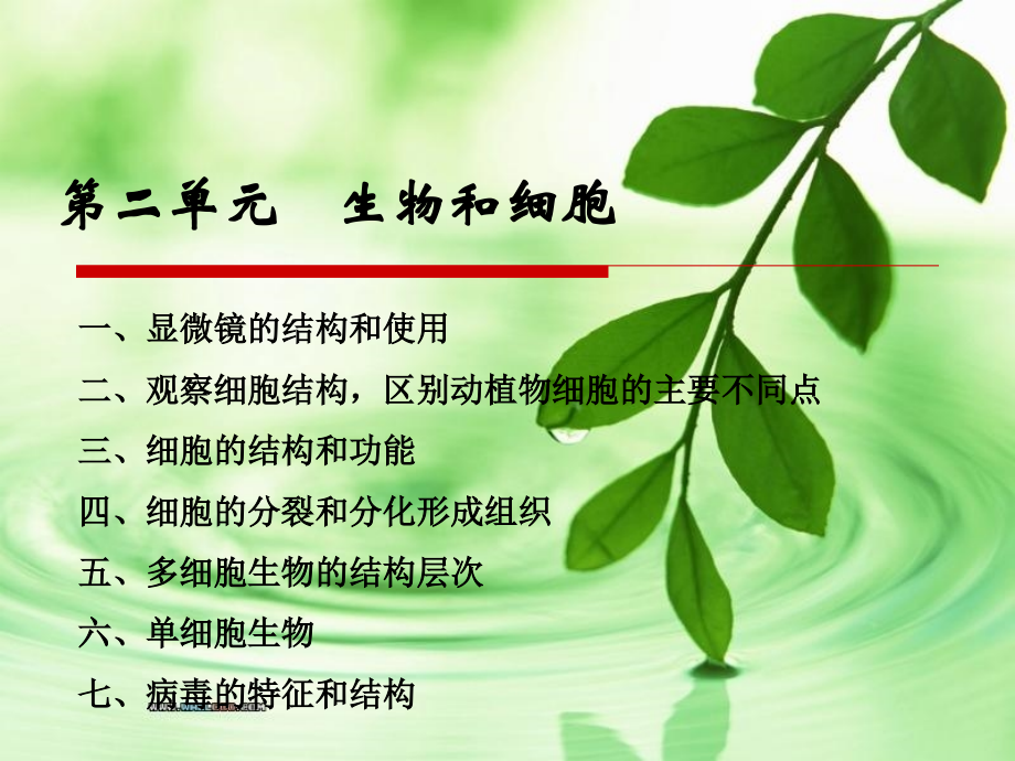 第二单元生物和细胞.ppt_第1页
