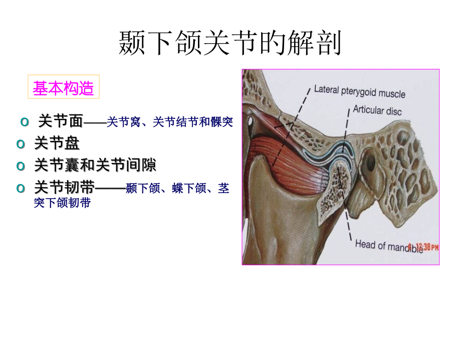 颞下颌关节课件.pptx_第2页