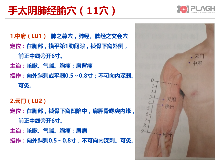 肺经经穴.ppt_第2页