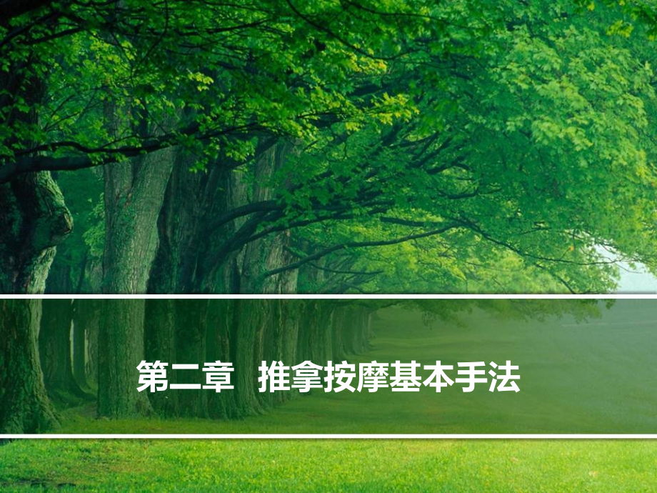 推拿按摩基本手法.pptx_第1页