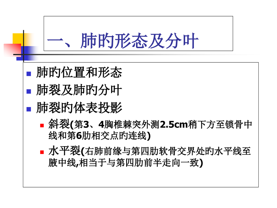 肺的断层影像解剖.pptx_第2页