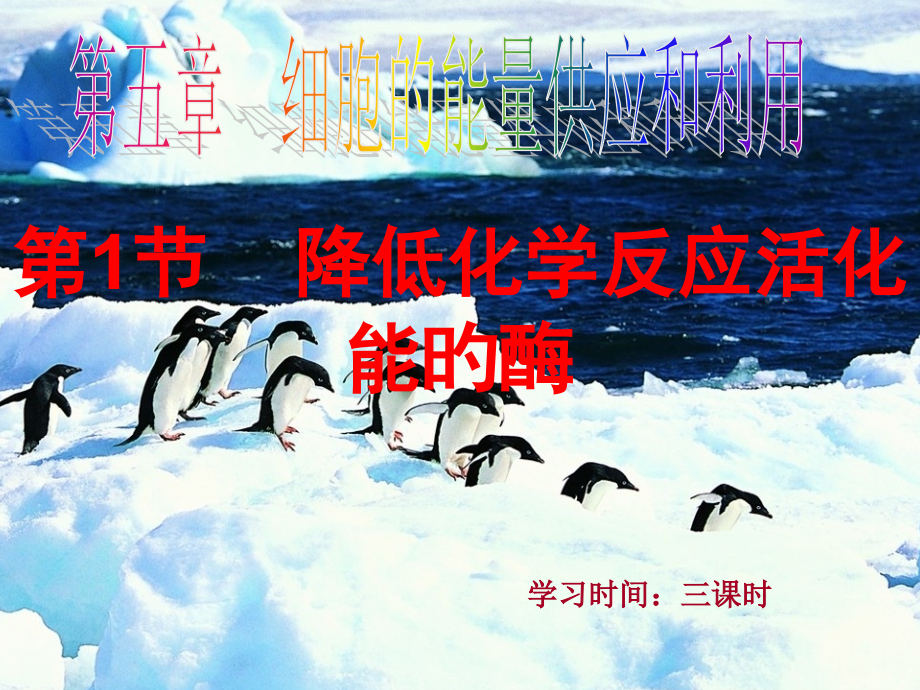 降低化学反应活化能的酶公开课一等奖市赛课获奖课件.pptx_第1页