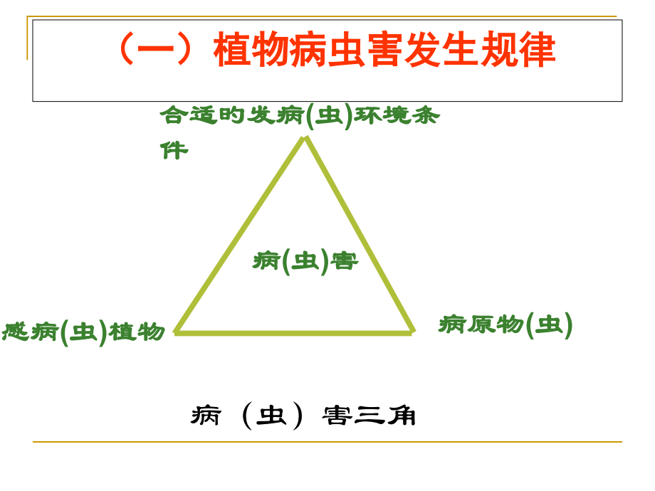 有机蔬菜病虫害防治.pptx_第2页
