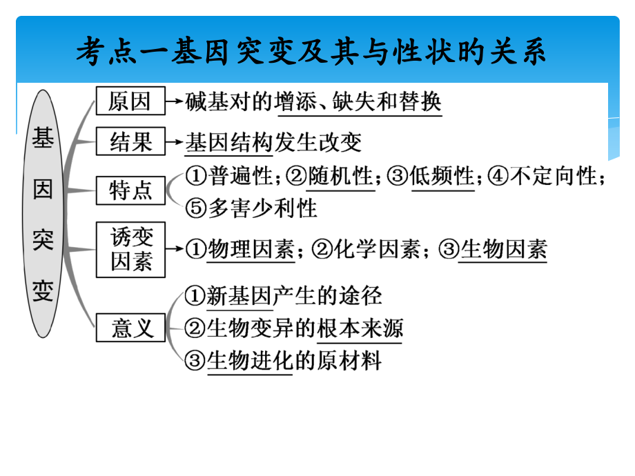 基因突变和基因重组.pptx_第2页