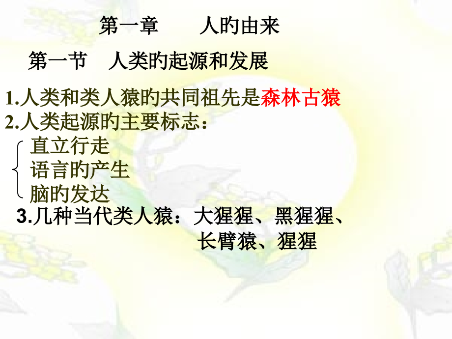 新人教版七年级下册生物总复习全册公开课一等奖市赛课一等奖课件.pptx_第2页