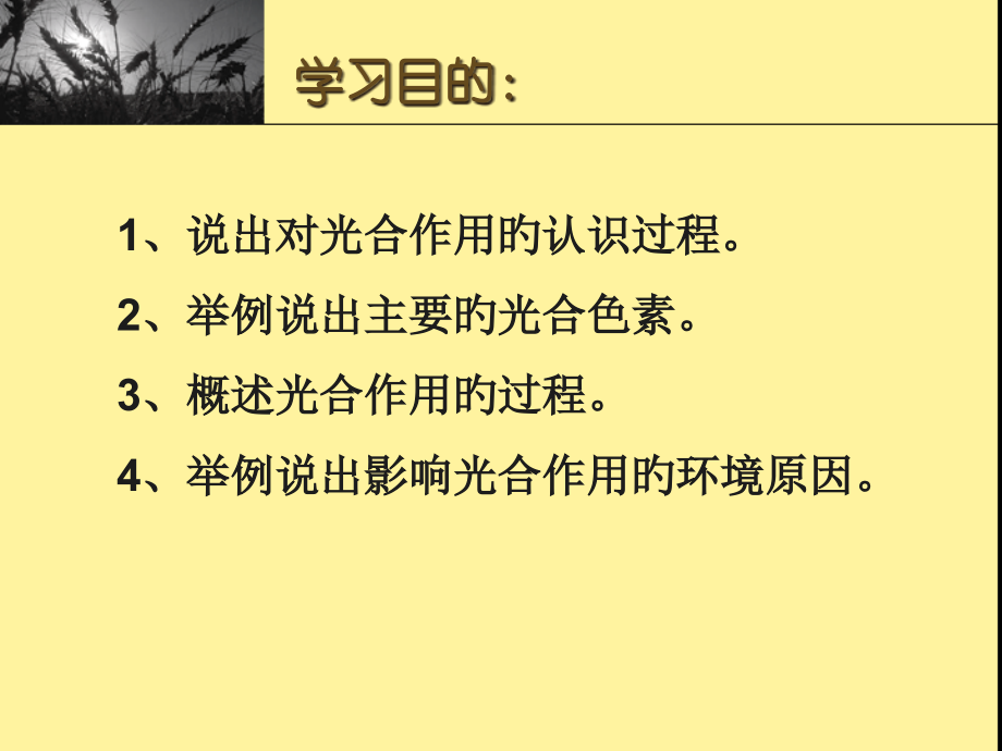 生物光合作用公开课一等奖市赛课获奖课件.pptx_第2页