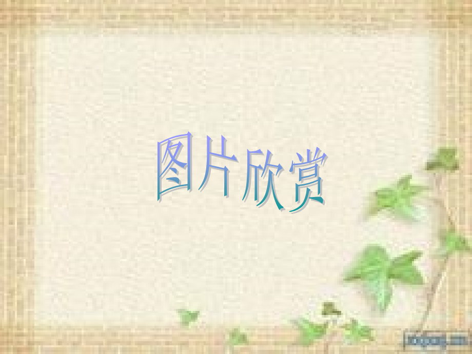 漳州历史文化名城公开课一等奖市赛课获奖课件.pptx_第2页